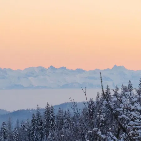 Lägenhet Haus Ganter By Interhome Hinterzarten