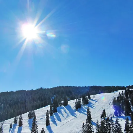 Appartement Haus Ganter By Interhome *