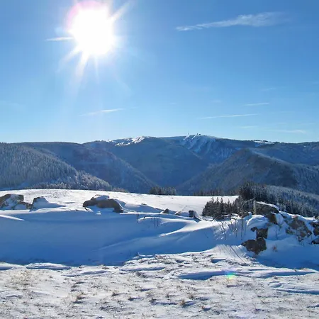 Haus Ganter By Interhome Lägenhet Hinterzarten