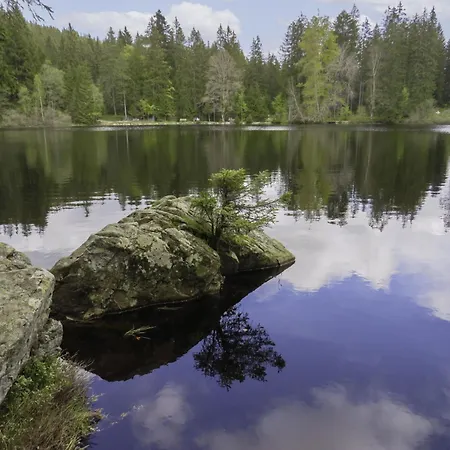 Appartement Haus Ganter By Interhome