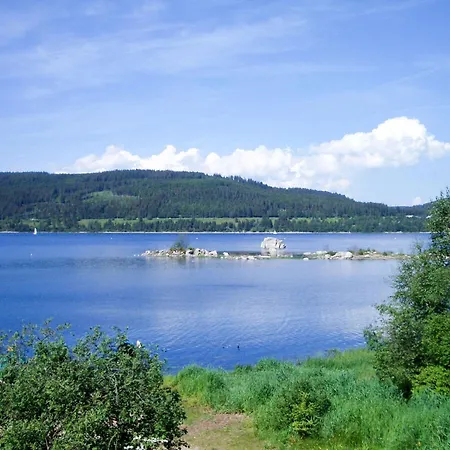 Haus Ganter By Interhome Appartement Hinterzarten