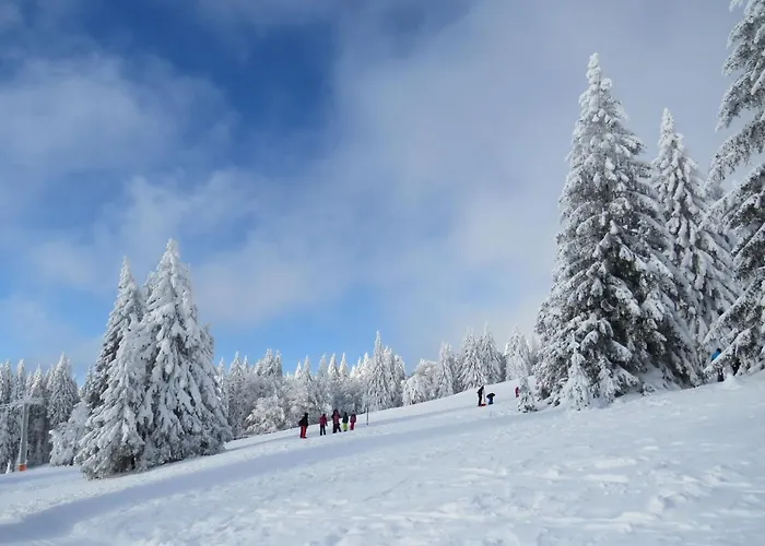 Lägenhet Haus Ganter By Interhome *