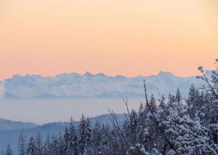 Lägenhet Haus Ganter By Interhome Hinterzarten