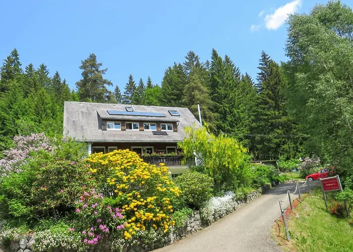 Lägenhet Haus Ganter By Interhome Hinterzarten