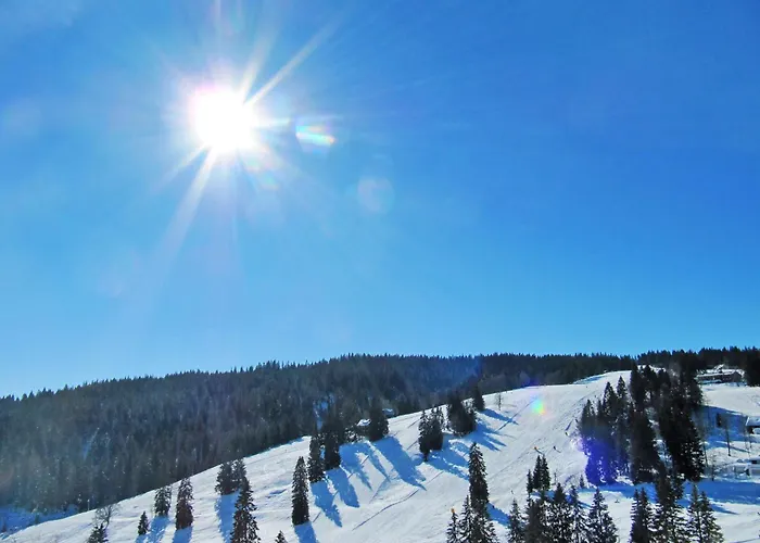 Lägenhet Haus Ganter By Interhome *