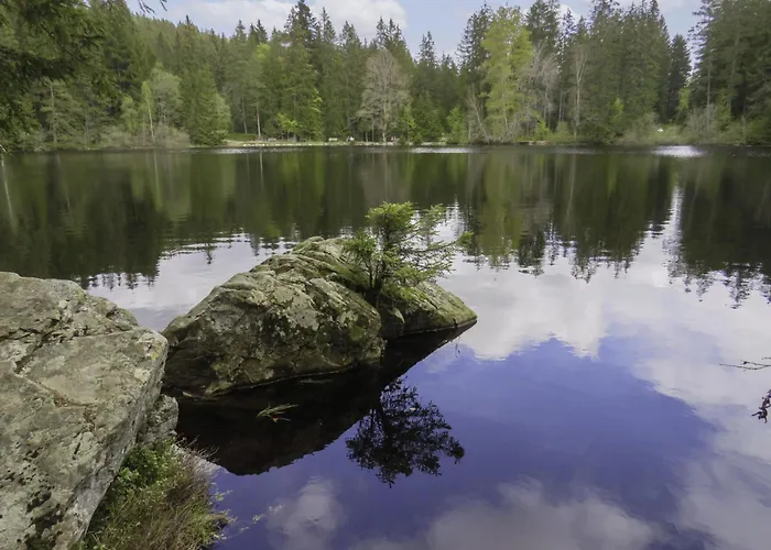 Lägenhet Haus Ganter By Interhome