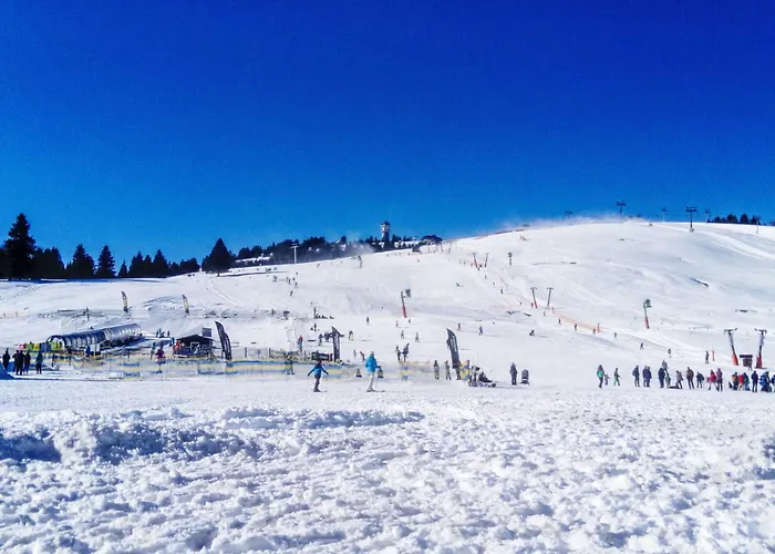 Lägenhet Haus Ganter By Interhome Hinterzarten